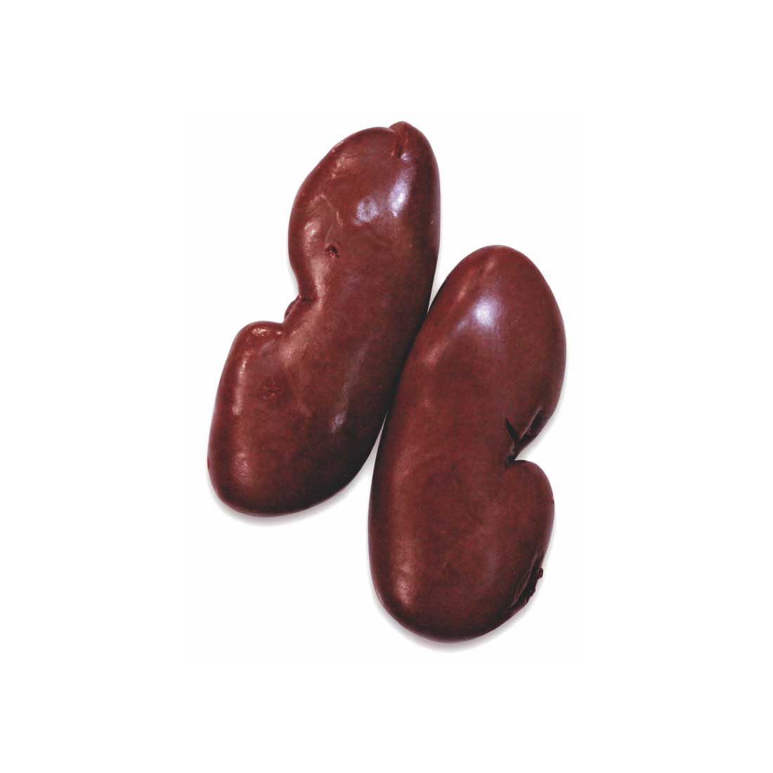 pork kidney