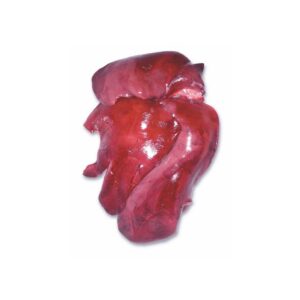 Wholesale Quality Frozen Pork Liver | Nutrient-Rich Supplier for Food & Pet Industries