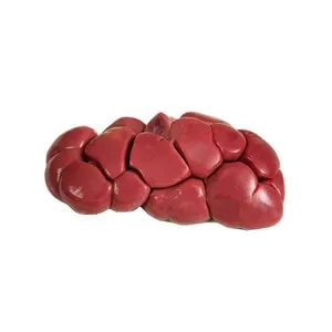 Wholesale Frozen Beef Kidney Supplier