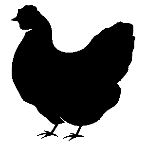 Chicken_